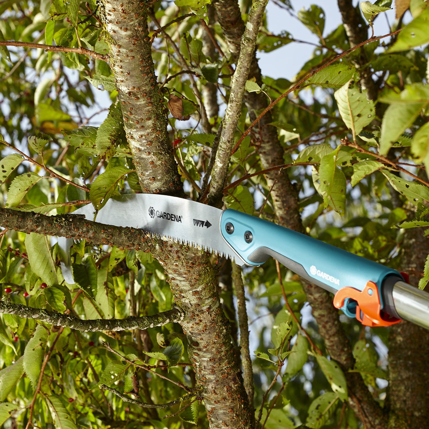 Sierra Curva Gardena 300P Combysistem