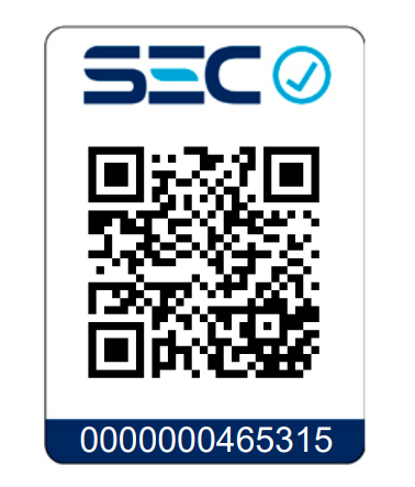 MOTOSIERRA HUSQVARNA 450 II 18